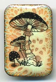 mushroon button enameled