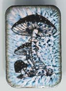mushroon button enameled