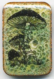 mushroon button enameled