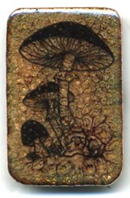 mushroon button enameled