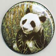 panda button
