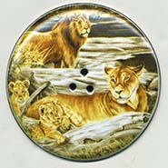 Lions button