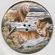 Lions button