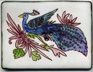 Peacock and Flowers